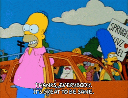 Great To Be Sane Season 3 GIF by The Simpsons