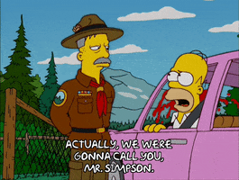 Talking Episode 11 GIF by The Simpsons