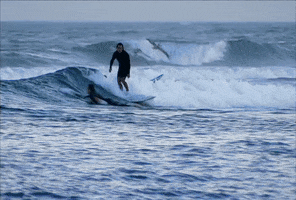 Surf Surfing GIF by The Hills
