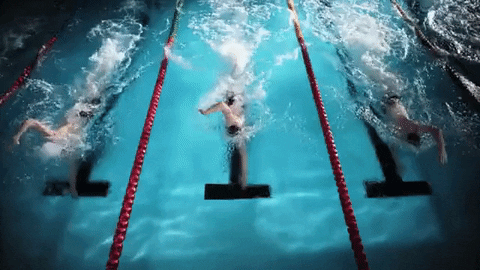 Olympics swimming gif - find & share on giphy
