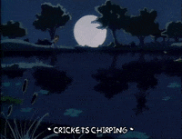 Crickets-chirping GIFs - Get the best GIF on GIPHY Crickets-chirping GIFs - Get the best GIF on GIPHY