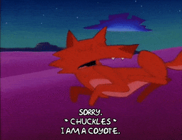 season 8 coyote GIF