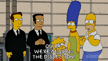 200.gif?cid=fc005b08cfcb30554df6829986c4ec974f50aa453c4b7c28&rid=200.gif&ct=g
