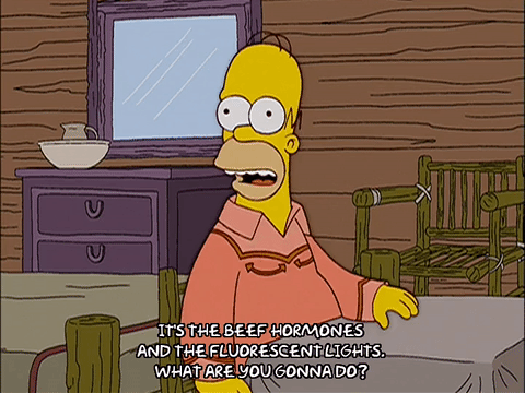 Homer Simpson Shrug GIF