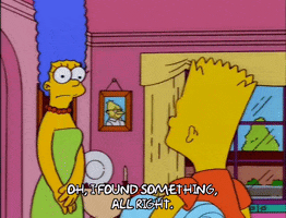 200.gif?cid=fc005b08800c5f531667d4a45cedf947450944b655d8d45c&rid=200.gif&ct=g
