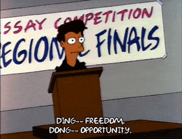Season 3 Freedom GIF by The Simpsons