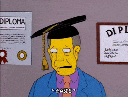 season 8 principle skinner GIF