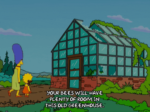 greenhouse meme gif