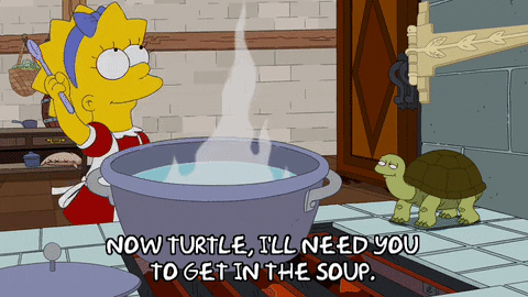 Image result for turtle soup gif