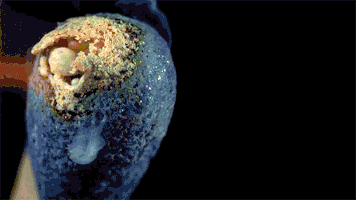 acegifs cool amazing science awesome GIF