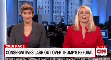 Sally Kohn GIF