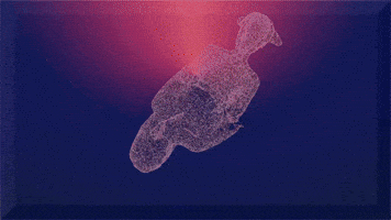naowao 3d space time digital GIF