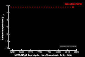 ed_hawkins temperature arctic GIF