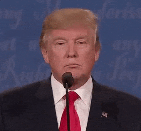 Donald Trump GIF by Election 2016