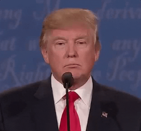 Donald Trump GIF by Election 2016 - Find & Share on GIPHY