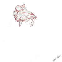 Illustration Fish GIF by Marie Chapuis