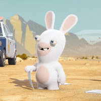 mail GIF by Rabbids