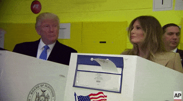 Voting Donald Trump GIF by Election 2016