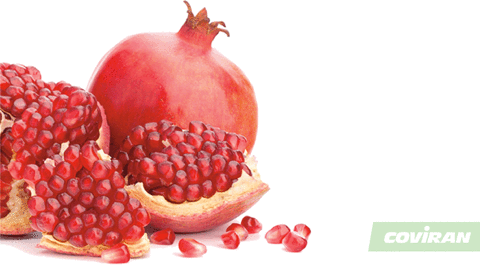 frutos y alimentos afrodisíacos