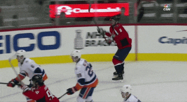 excited hockey GIF by Capitals