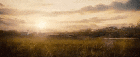 field GIF by The Magnificent Seven
