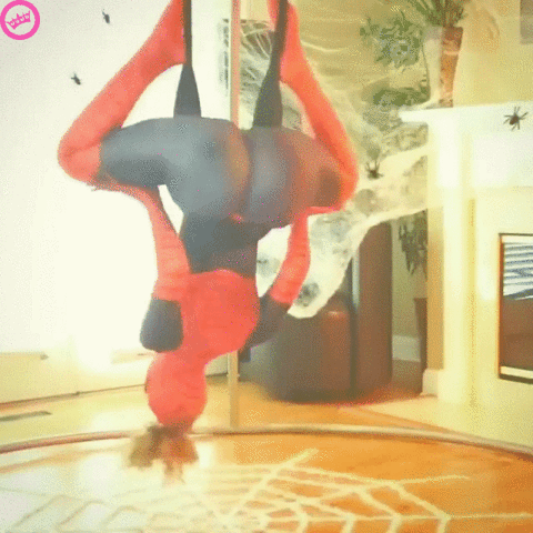 rowdy spiderwoman GIF