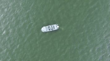 Catfish Edge GIF