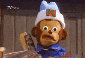 confused monkey what GIF by namslam