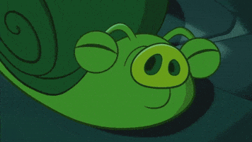 laugh piggy GIF by Angry Birds