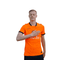Ing Sticker by INGNederland