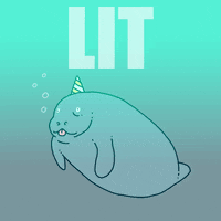 Party Manatee GIF by Studios 2016