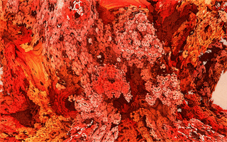 blood skin GIF by David Berrebi