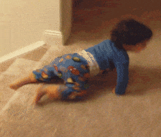slide lol GIF by America's Funniest Home Videos