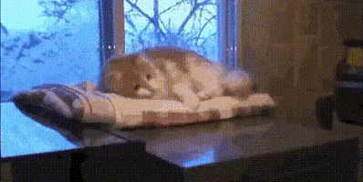 creepy  GIF