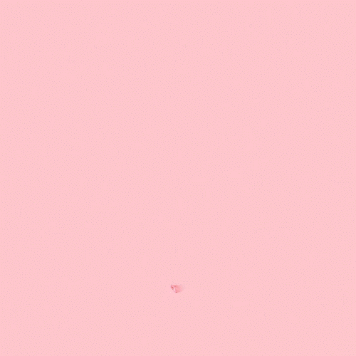 Pink Rose GIF by aurel
