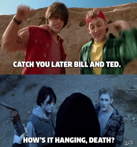 excellent bill and ted meme