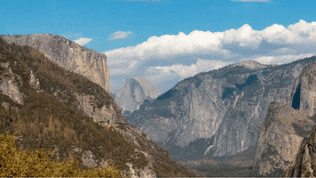 levisim  GIF