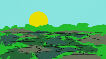 sun forest GIF by South Park 