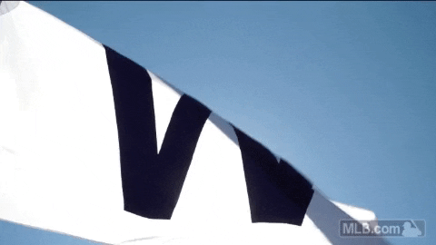 Cubs Win Chicago Cubs GIF - Cubs Win Chicago Cubs Chicago Cubs win