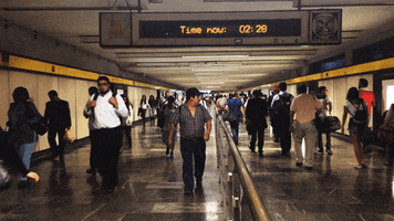 ricardoirak  GIF
