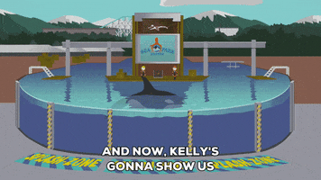 sea world pool GIF by South Park 