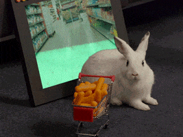 Bunny Carrots GIF by Originals