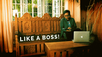 chamberlanealtatis  GIF