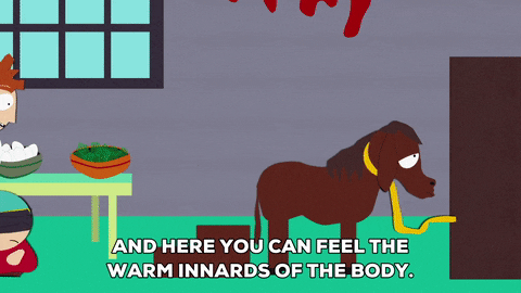 Horse Ass GIFs - Get the best GIF on GIPHY