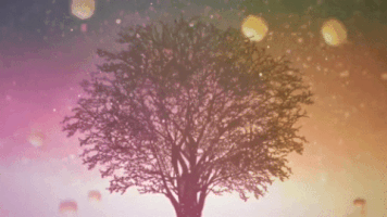 switch  GIF