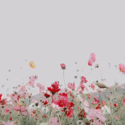 enote  GIF