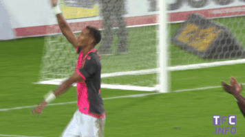 excited ligue 1 GIF by Toulouse Football Club
