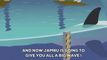 killer whale wave GIF by South Park 