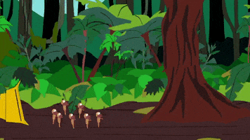 forest danger GIF by South Park 