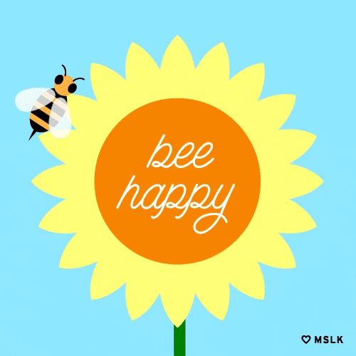 Happy Bee GIFs Find & Share on GIPHY